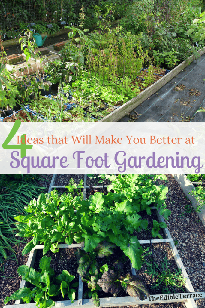 Square foot gardening is a method for creating and managing raised gardens. This type of gardening is perfect for beginners. Topics include plans, layouts, design, and type of soil you need.