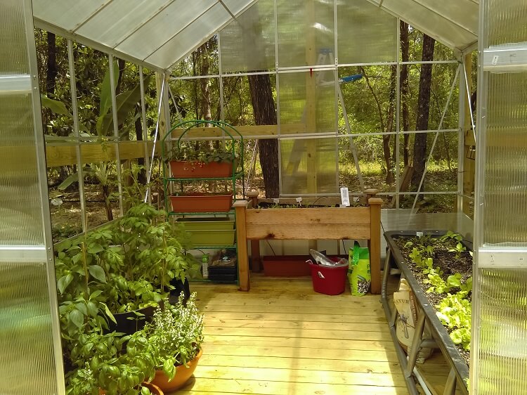The Edible Terrace Greenhouse