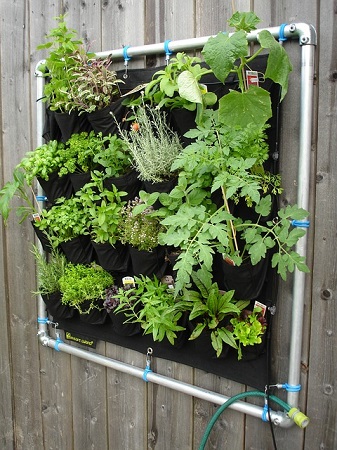 diy vertical vegetable garden