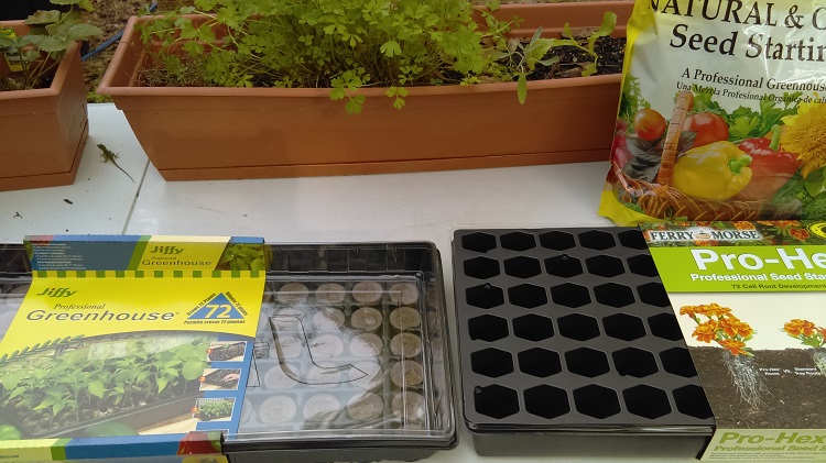 Planting with Jiffy seed starting trays