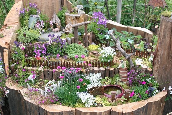 Create miniature fairy garden