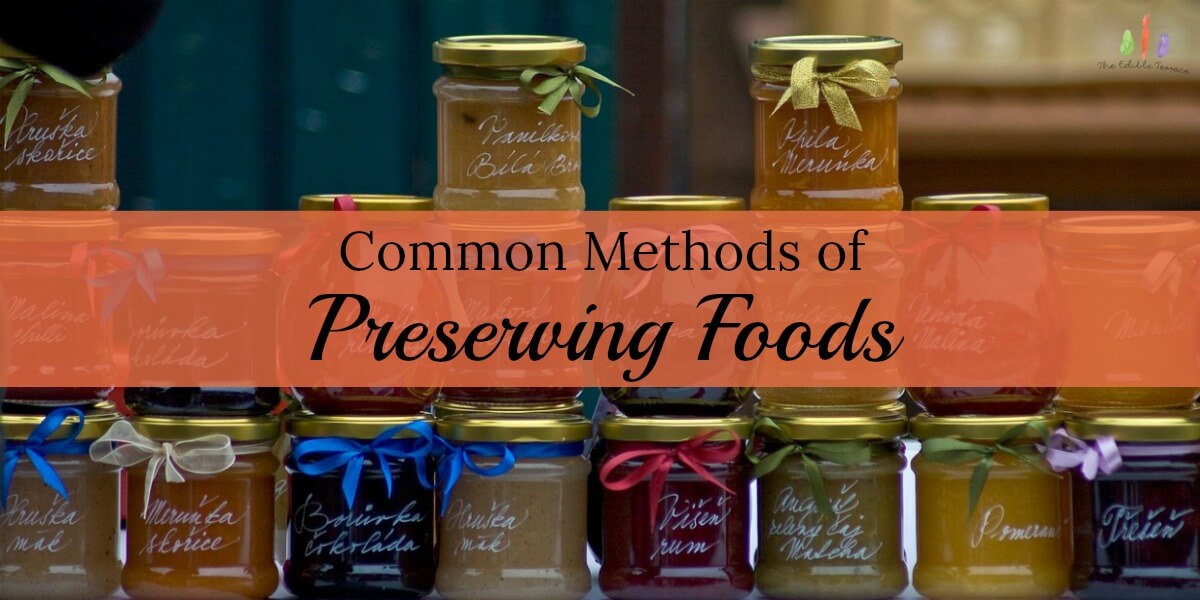 Five Common Methods of Processing & Preserving Food