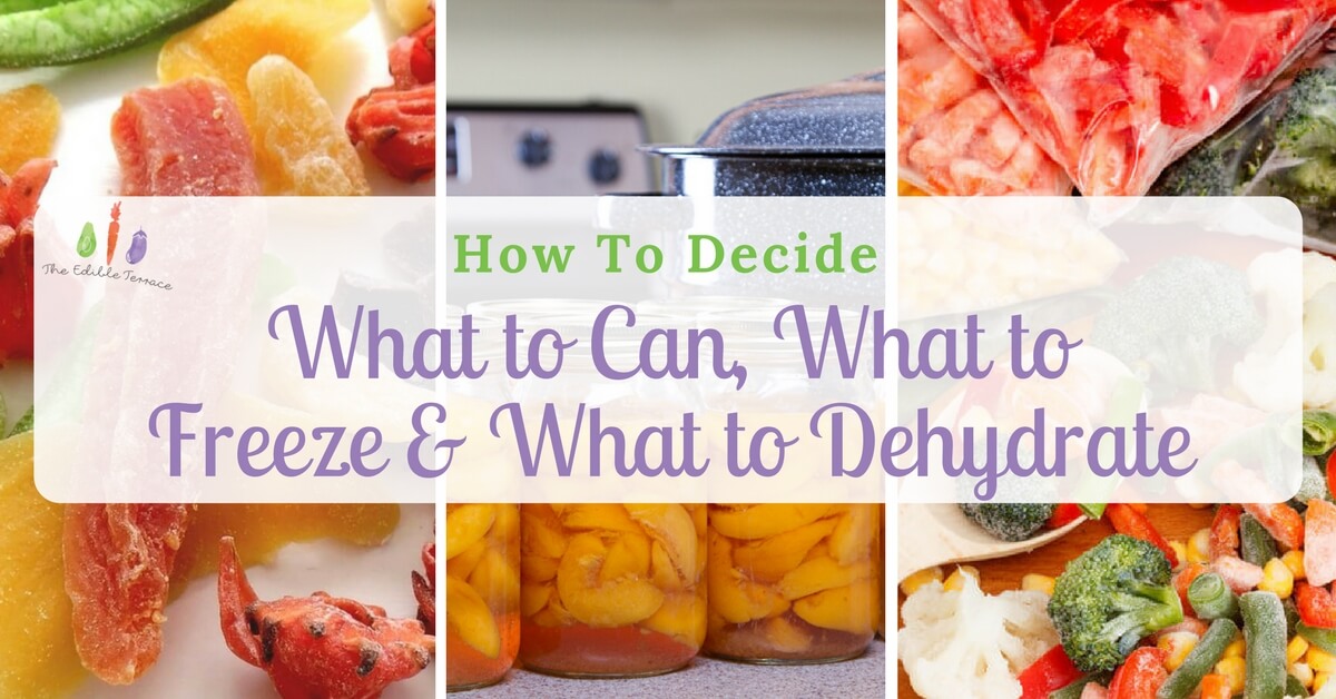 How To Decide What To Can, What To Freeze And What To Dehydrate