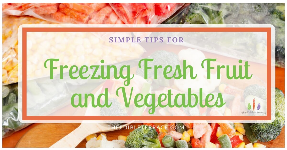 Can I Freeze Fresh Vegetables And Fruit?