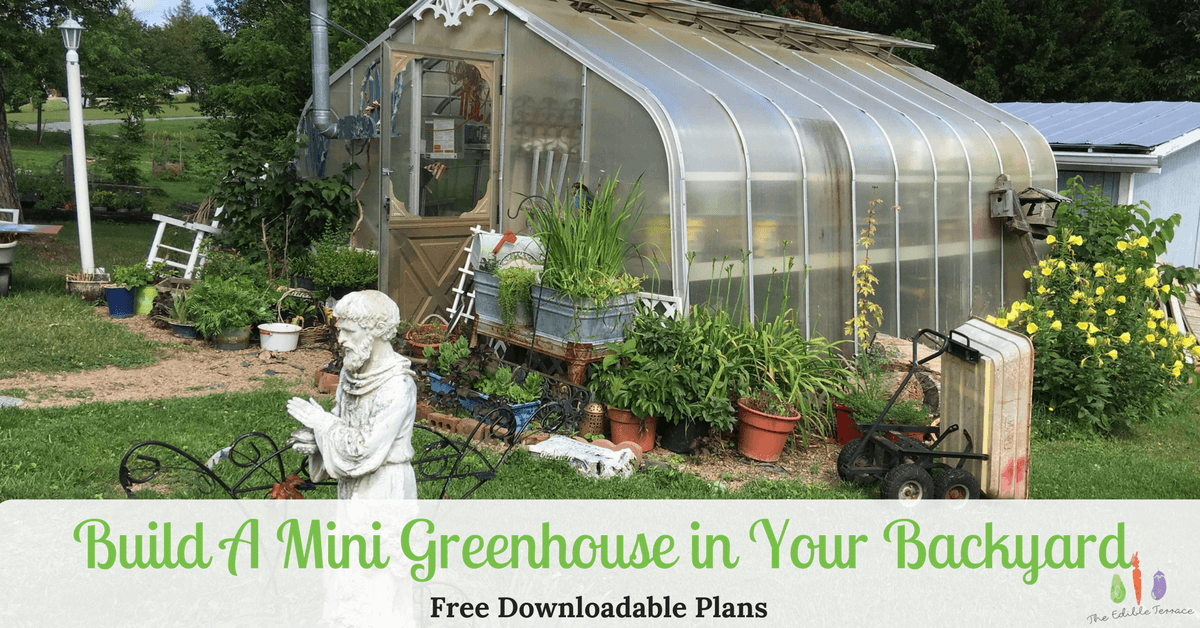 How To Build A Mini Greenhouse In The Backyard (Free Plans)