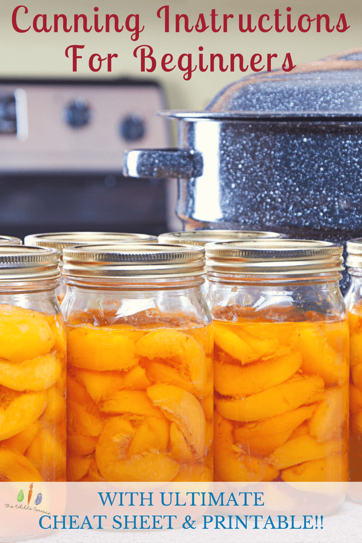 Canning Instructions For Beginners: The Ultimate Cheat Sheet [Printable]