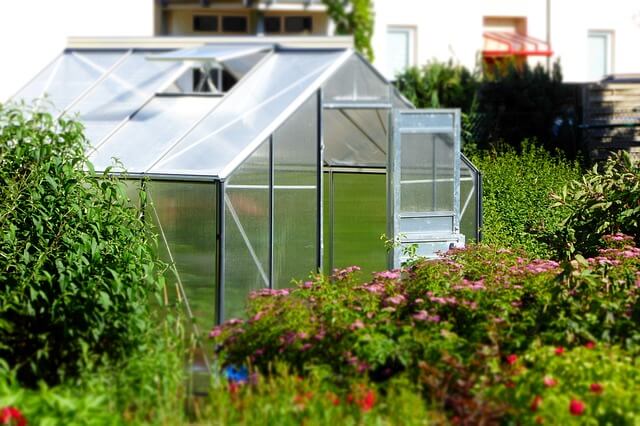 How To Build A Mini Greenhouse In The Backyard (Free Plans)