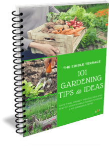 101 Gardening Tips & Ideas for Vegetable Gardeners