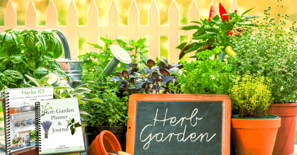 starting an indoor herb garden