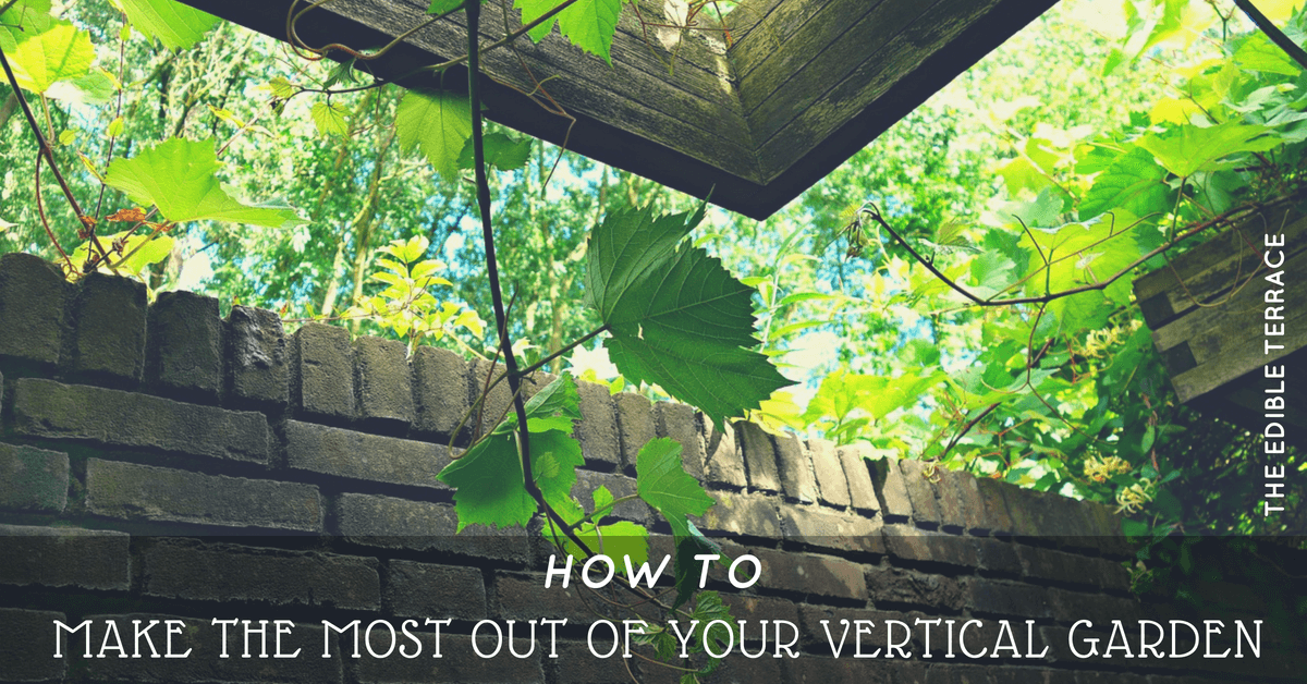 How to Make the Most Out of Your Vertical Garden