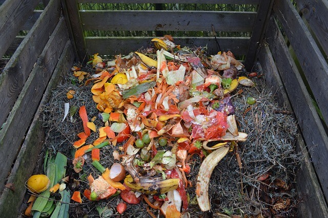 What To Compost and What Not To Compost