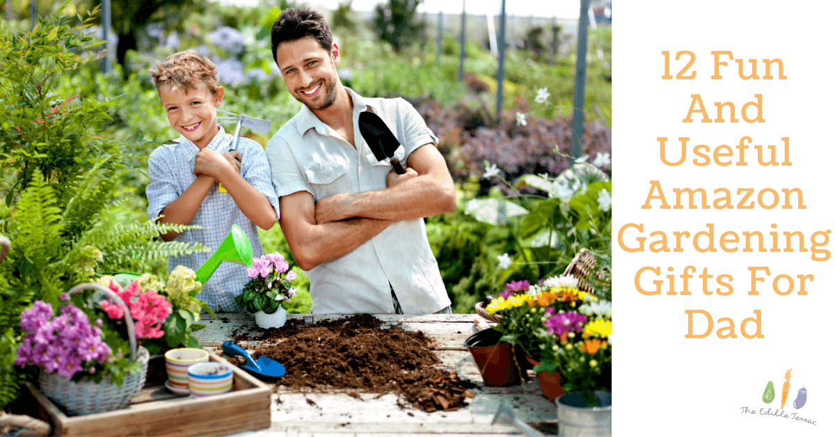 12 Fun And Useful Amazon Gardening Gifts For Dad