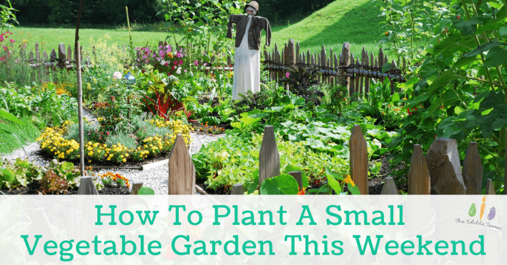 How To Plant A Small Vegetable Garden This Weekend