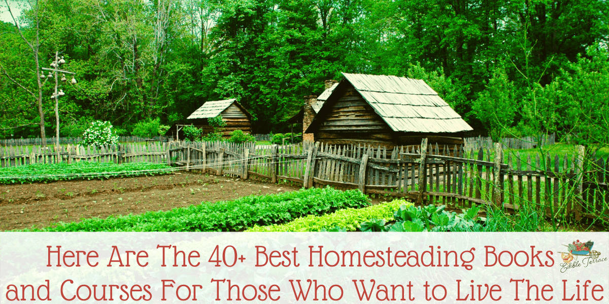 Here Are The Best Homesteading Books and Courses (over 40 resources to choose from)